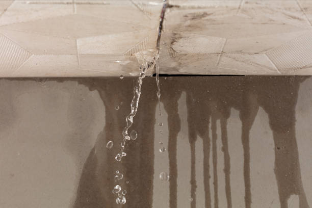 Professional Flood Damage Cleanup technician working in La Fayette, AL